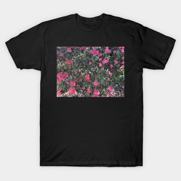 Happy Pink Azaleas T-Shirt by Sparkleweather